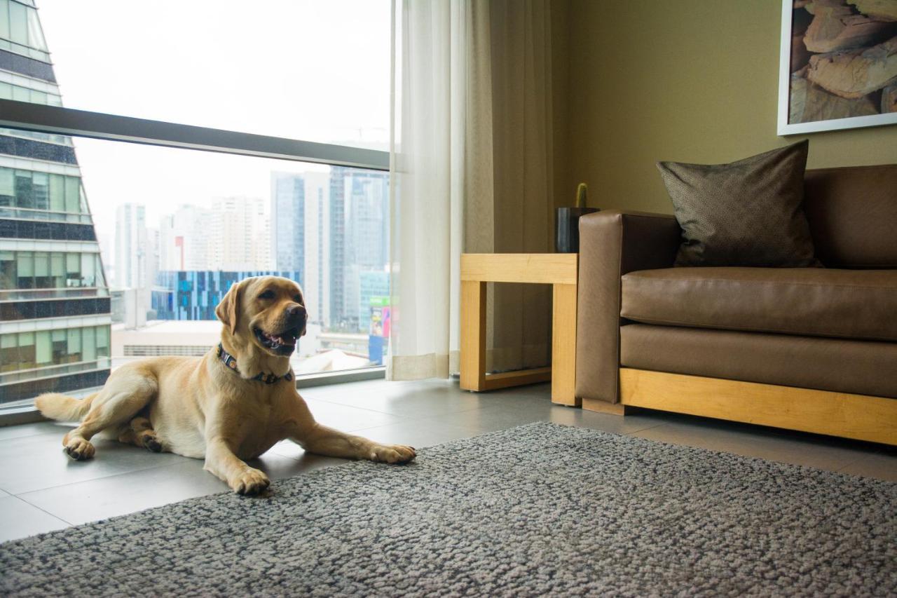 Stadia Suites Mexico City Santa Fe Esterno foto A dog on a carpet